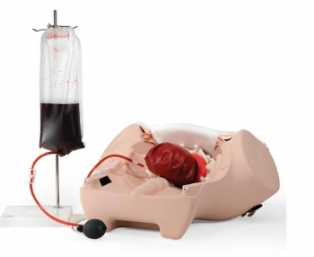 Postpartum Hemorrhage Trainer, PPH Trainer P97