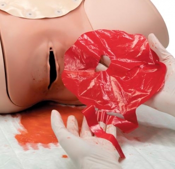 Postpartum Hemorrhage Trainer, PPH Trainer P97