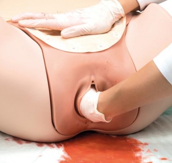 Postpartum Hemorrhage Trainer, PPH Trainer P97