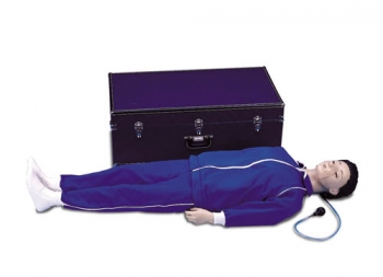 Wiederbelebungspuppe Erwachsener (R10052)