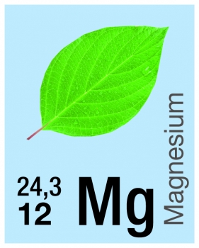 Bilder-Periodensystem der Elemente, RollUp