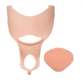 Bauchdecke Set komplett