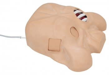 Thorax - Drainage Simulator