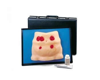 Stomapflege-Simulator (R10132)