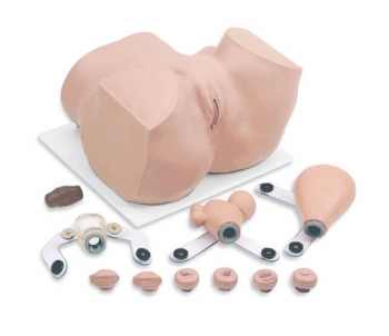 Gynäkologisches Übungsmodell (R10182)