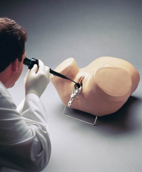 Hysteroskopie-Simulator (R10184)