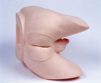 Prostata-Untersuchungs-Trainer (R16230)