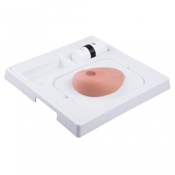 SONOtrain™ Ultraschall Brustmodell mit Zysten