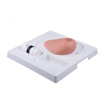 SONOtrain™ Ultraschall Brustmodell mit Tumoren