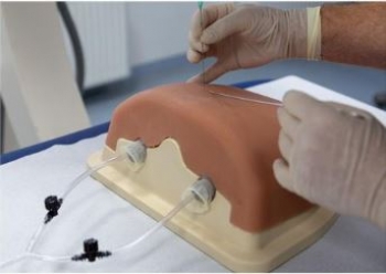Bildgestützter Brustwirbelinjektions-Trainer P66