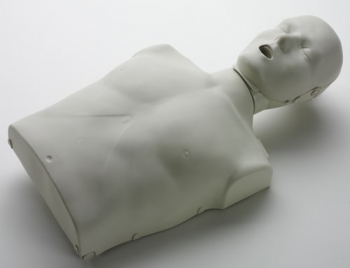 HLW-Torso mit Anzeige (R19100)