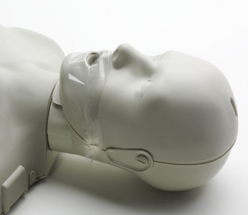 HLW-Torso mit Anzeige (R19100)