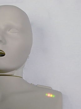 HLW-Torso mit Anzeige (R19100)