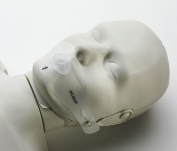 HLW-Torso mit Anzeige (R19100)