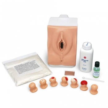 Trainer für Zervixuntersuchung und PAP-Test