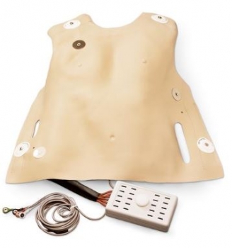 Brustkorbhaut für die Defibrillation beim Erwachsenen, Defibrillations Brust