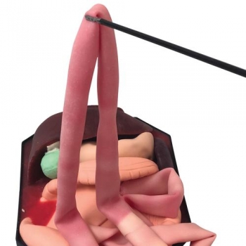 Organtablett