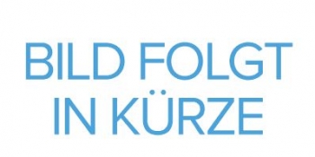 Linker Arm für 1005650