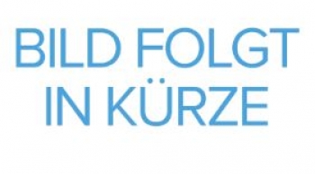 Pferd (Equus ferus caballus), Wirbelsäule, disartikuliert