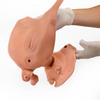 Vaginaleinsatz