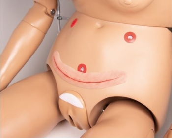 OP Wunde, ohne Naht, 20cm (zum selbst nähen)