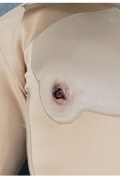 Casualty Care Rescue Randy