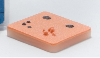 Simuliertes Gewebe mit Hautläsionen