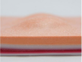 Simuliertes Gewebe mit Zyste und Abszess, helle Haut