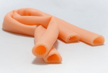 Dünndarmsimulator, zwei 40cm Segmente