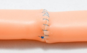 Dünndarmsimulator, zwei 40cm Segmente