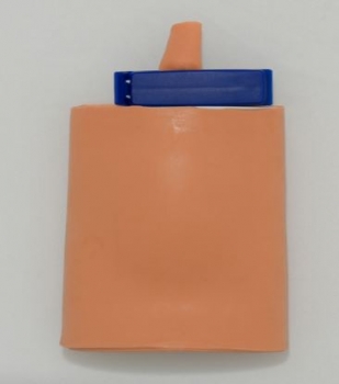 Blasenpunktionstrainer, Zystozentese