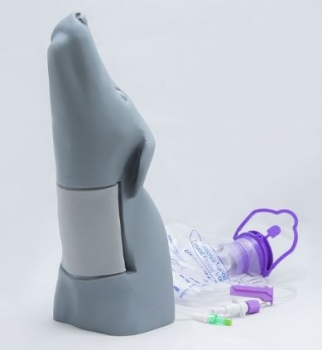 Hundekopf Gefäßzugangssimulator