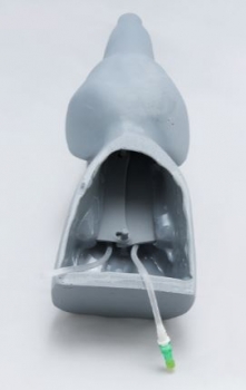 Hundekopf Gefäßzugangssimulator