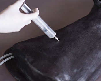 Pferde Simulator 1.0