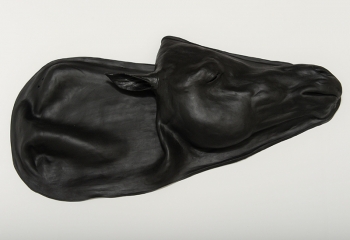 Pferde Simulator 1.0