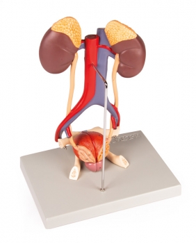 Harnapparat, 5-teilig