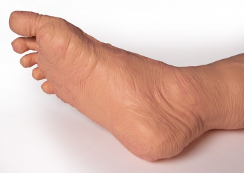 TERI Androgyner Geriatrie Patienten Skills Trainer