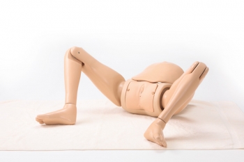 Geburtsmodell mit Positionierungsoption