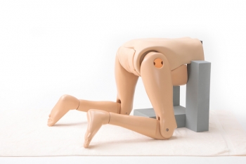 Geburtsmodell mit Positionierungsoption