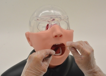 Nasopharyngealer Abstrichsimulator