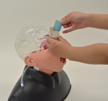 Nasopharyngealer Abstrichsimulator