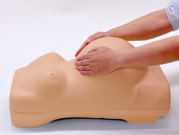 Schwangerschafts-Untersuchungs-Simulator