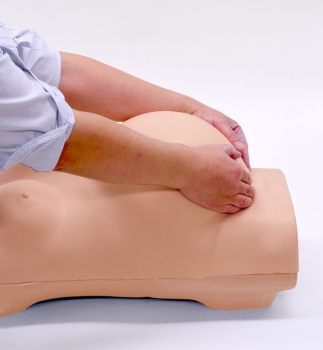 Schwangerschafts-Untersuchungs-Simulator