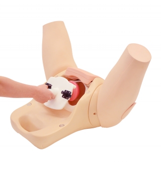 Muttermund - Untersuchungs - Simulator