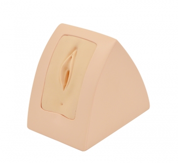 Perinealreparatur - Simulator