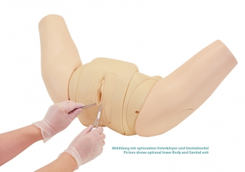 Perinealreparatur - Simulator