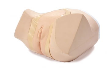 Katheterisierungs-/Einlauf-Simulator, weiblich