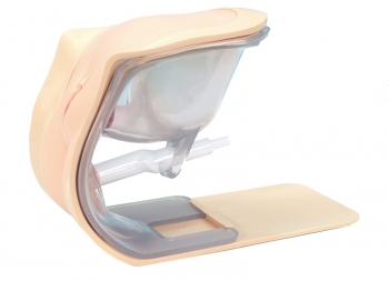 Katheterisierungs-/Einlauf-Simulator, weiblich