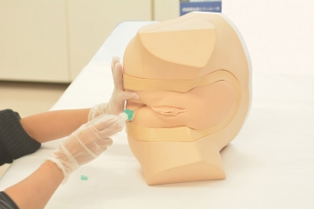 Katheterisierungs-/Einlauf-Simulator, weiblich