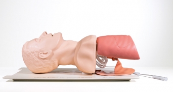 Airway Management Trainer